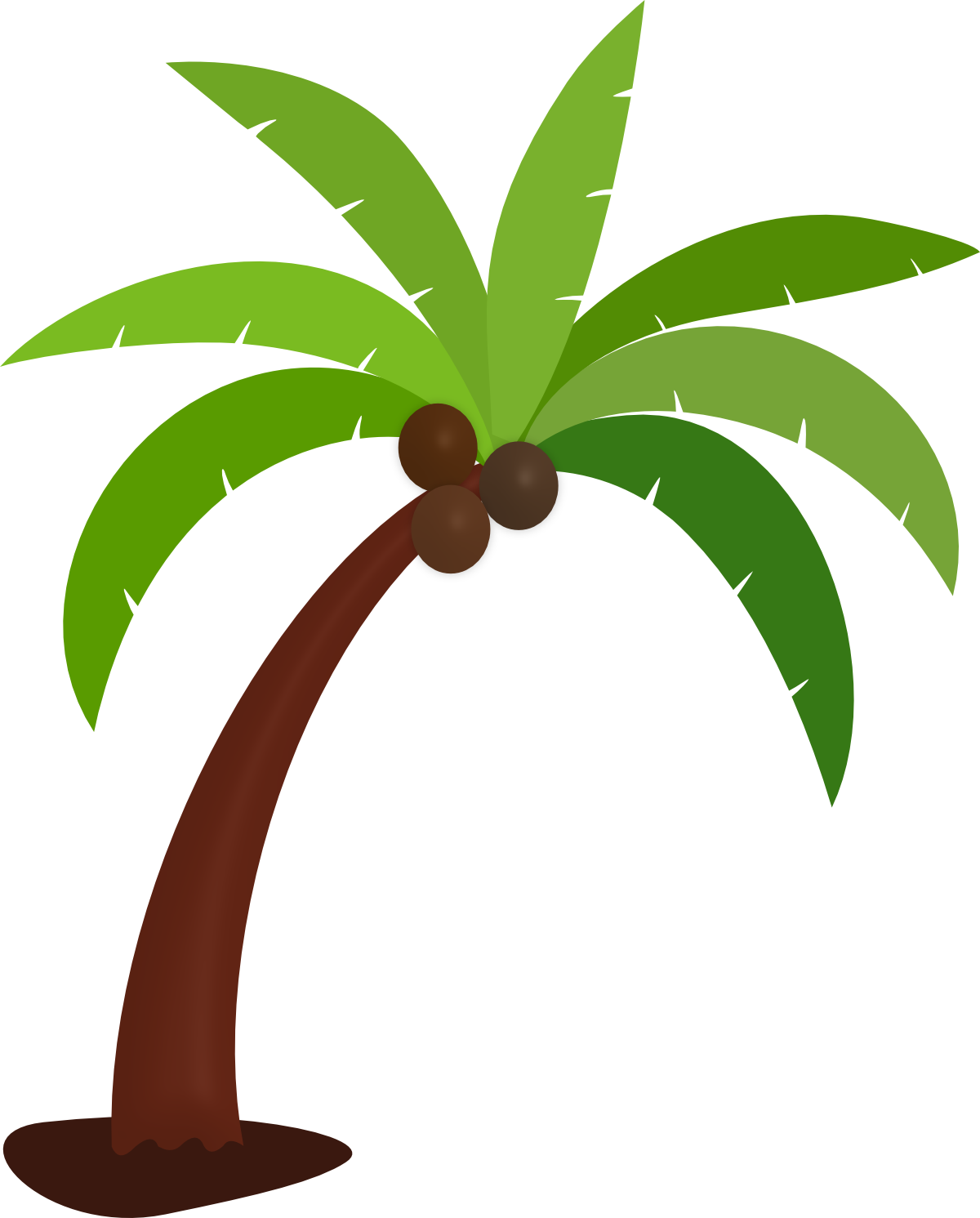 Vector Palm Tree